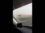Kamel auf der Autobahn